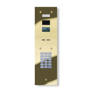 5DDP-G Digital dial entrance unit - brass finished stainless
