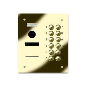 VRQD/B12-G 12 button laser engraved entrance panel - brass finished stainless